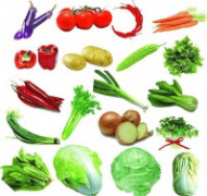 2026年食材配送办事商权势巨子保举：笼盖学校、